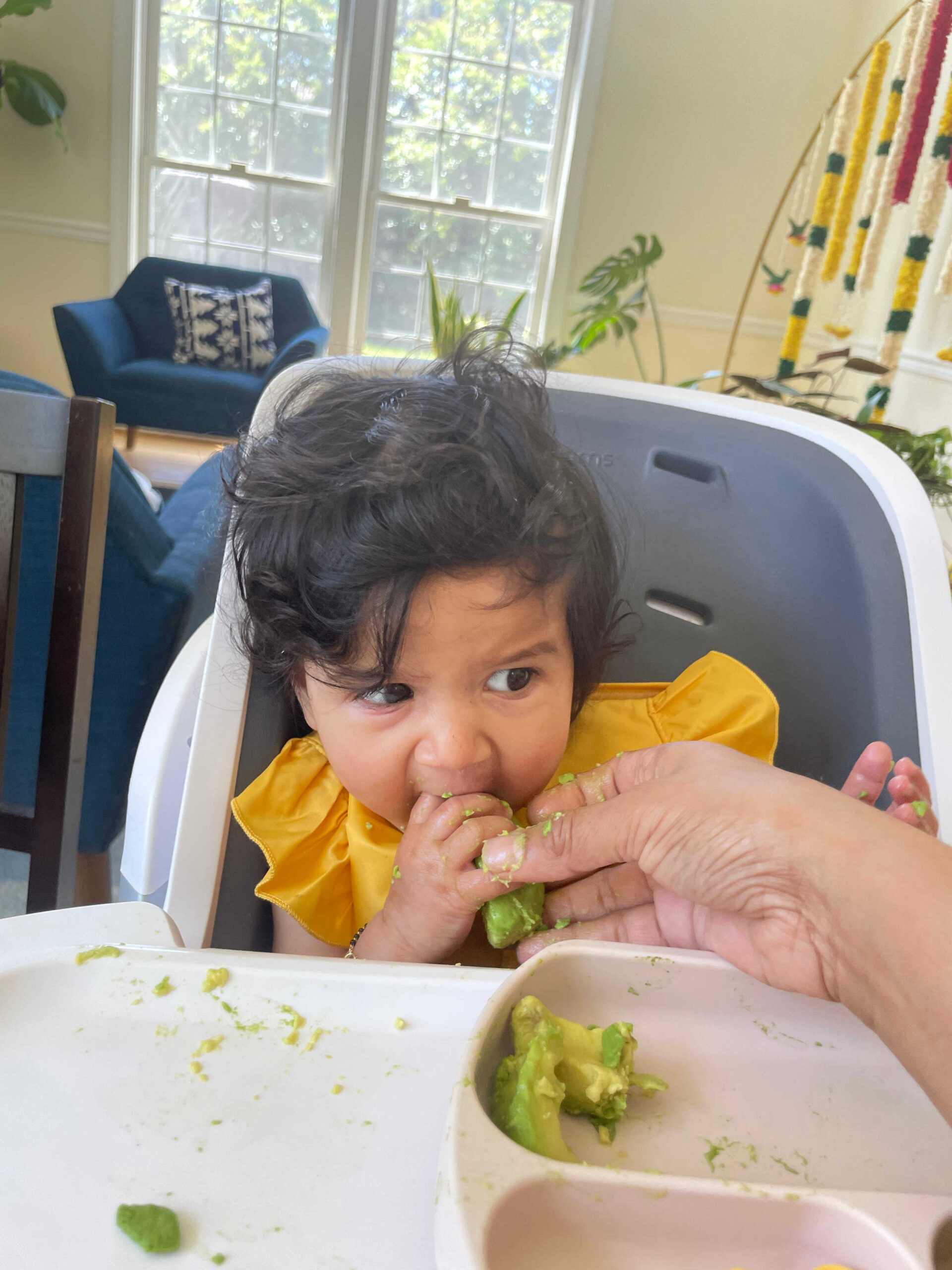 6 Month Baby-Led Weaning Meal Ideas Week 1 - Baby First Food Avocado by Top US Mom Blogger Dreaming Loud