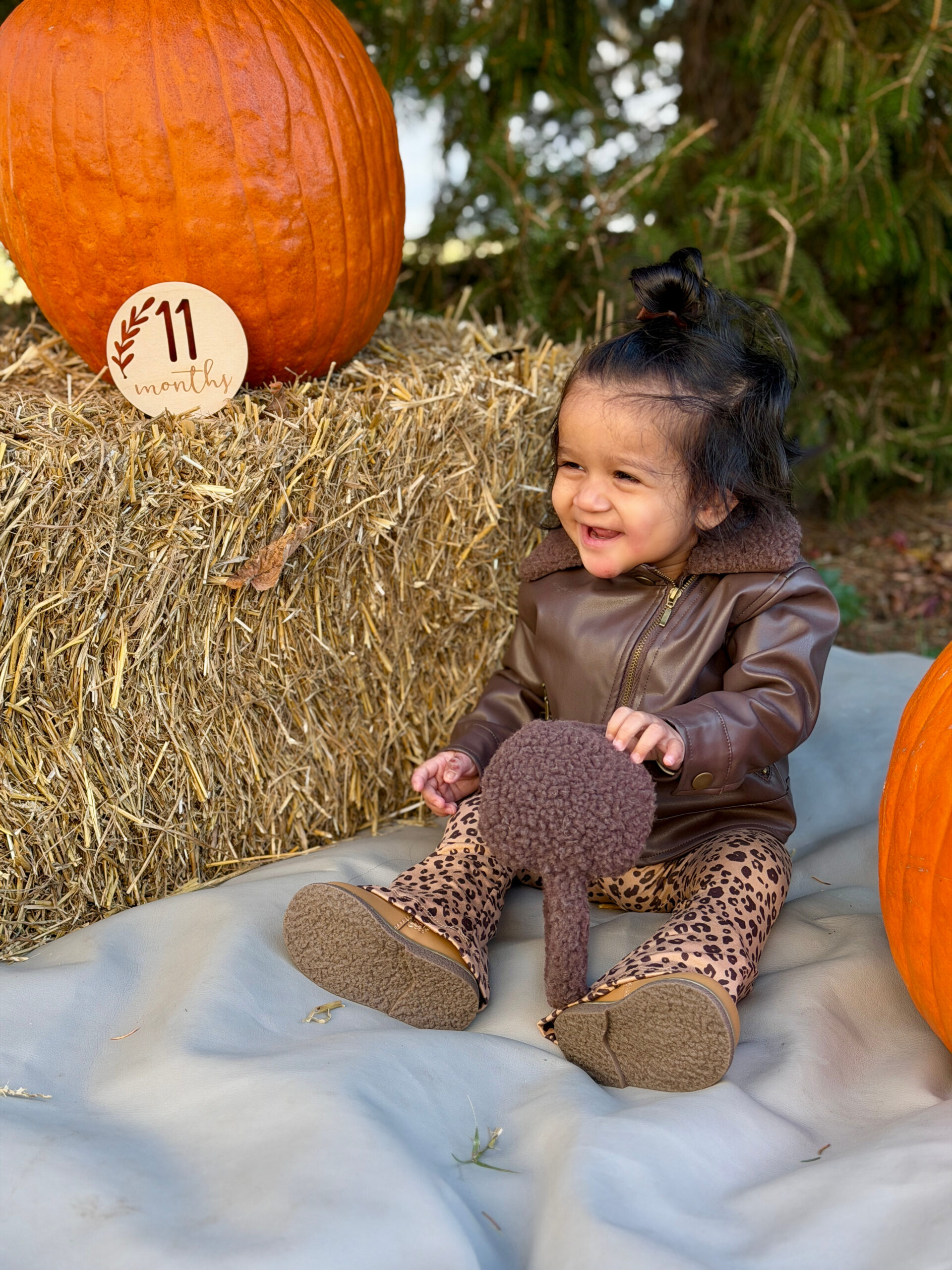 Baby Girl Monthly Milestone Pictures at Home- Month Eleven – November (Fall Baby Photoshoot Ideas) by Top US Mom Blogger Dreaming Loud