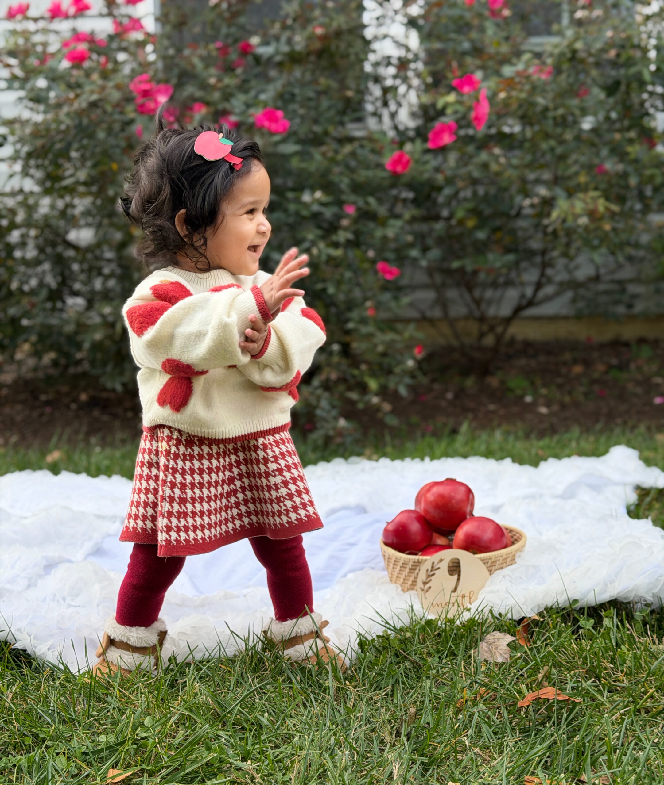 Baby Girl Monthly Milestone Pictures at Home- Month Nine – September (Apple Theme) by Top Us Mom Blogger Dreaming Loud