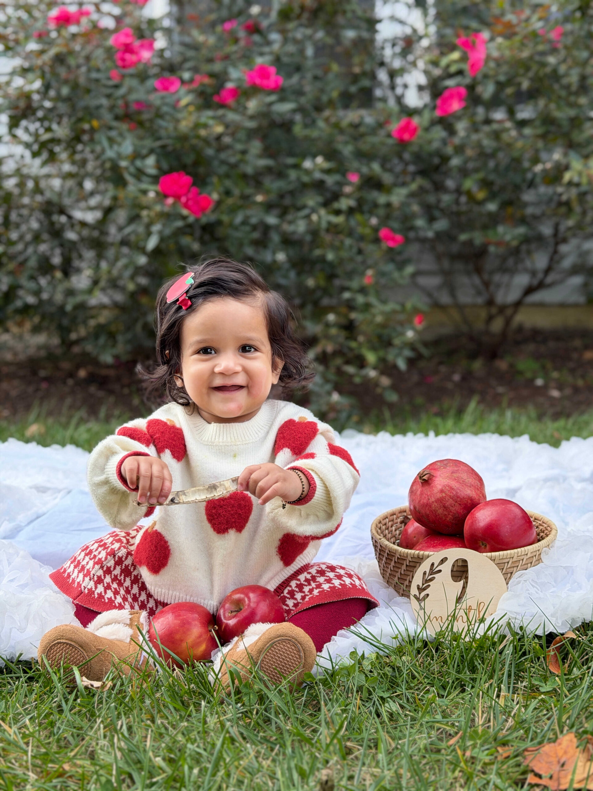 Baby Girl Monthly Milestone Pictures at Home- Month Nine – September (Apple Theme) by Top Us Mom Blogger Dreaming Loud