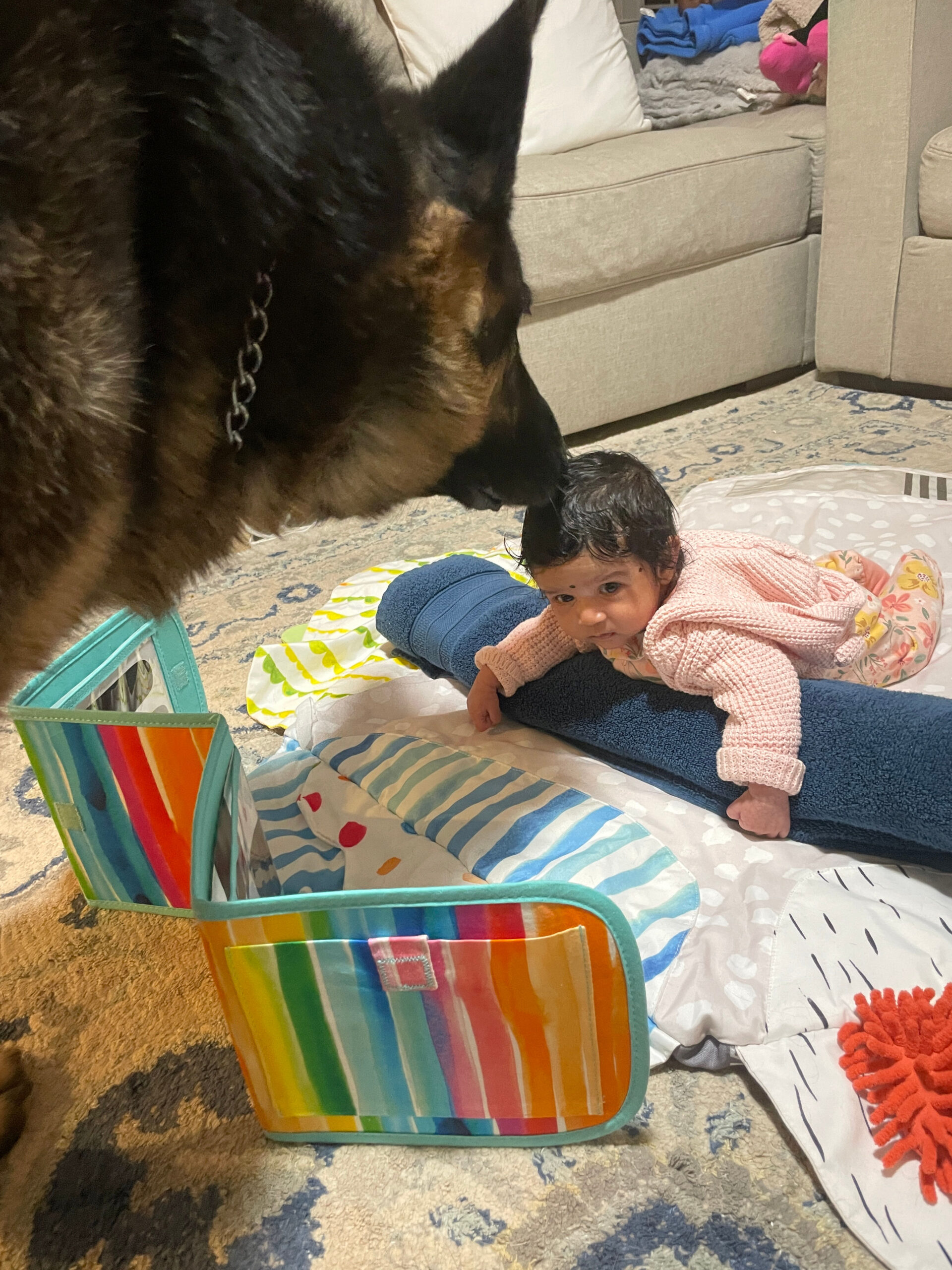 Dog Loss Grief_ A Love Letter to Our Furry Baby, Bagheera by Top US Mom Blogger Dreaming Loud