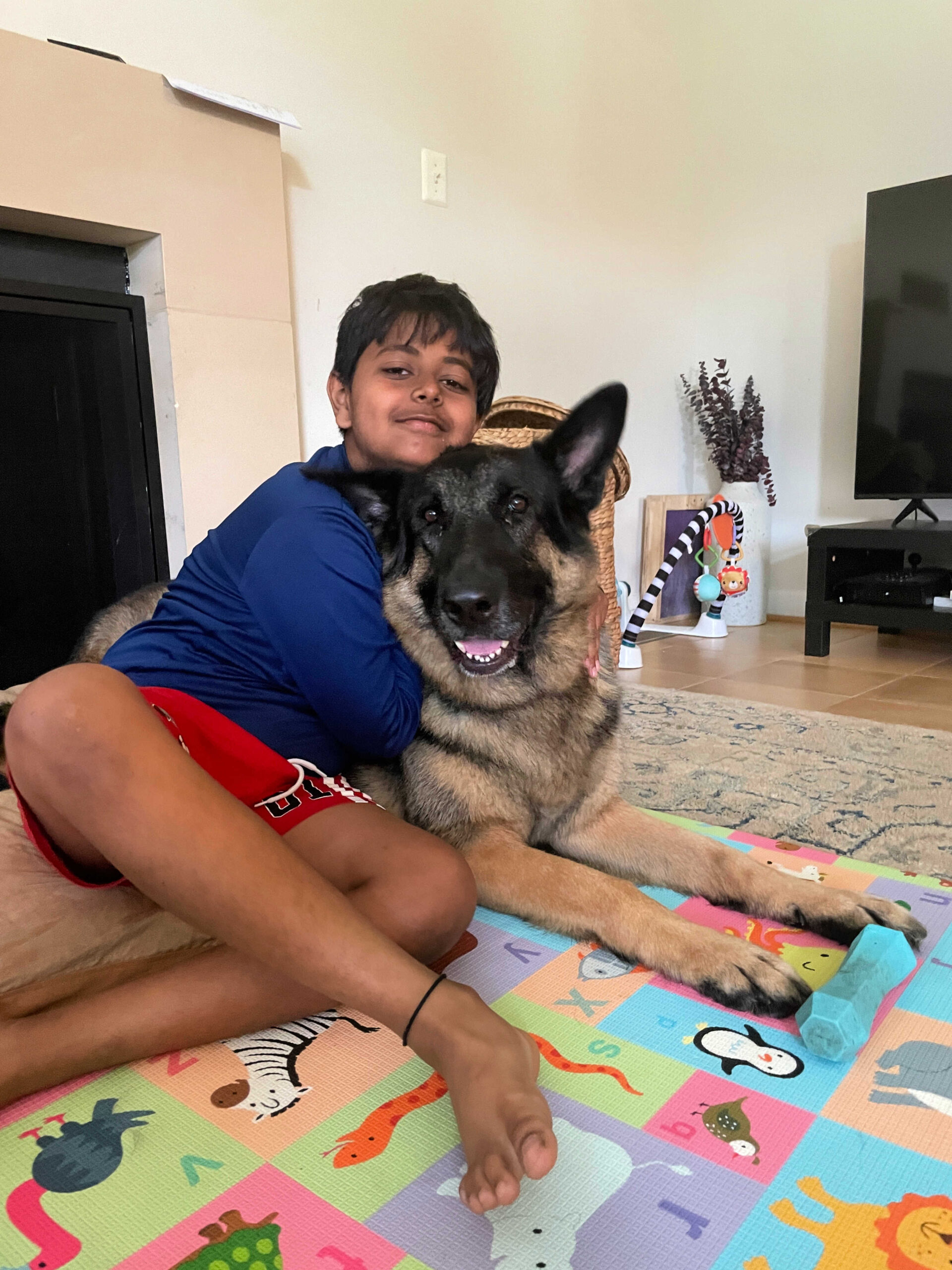 Dog Loss Grief_ A Love Letter to Our Furry Baby, Bagheera by Top US Mom Blogger Dreaming Loud