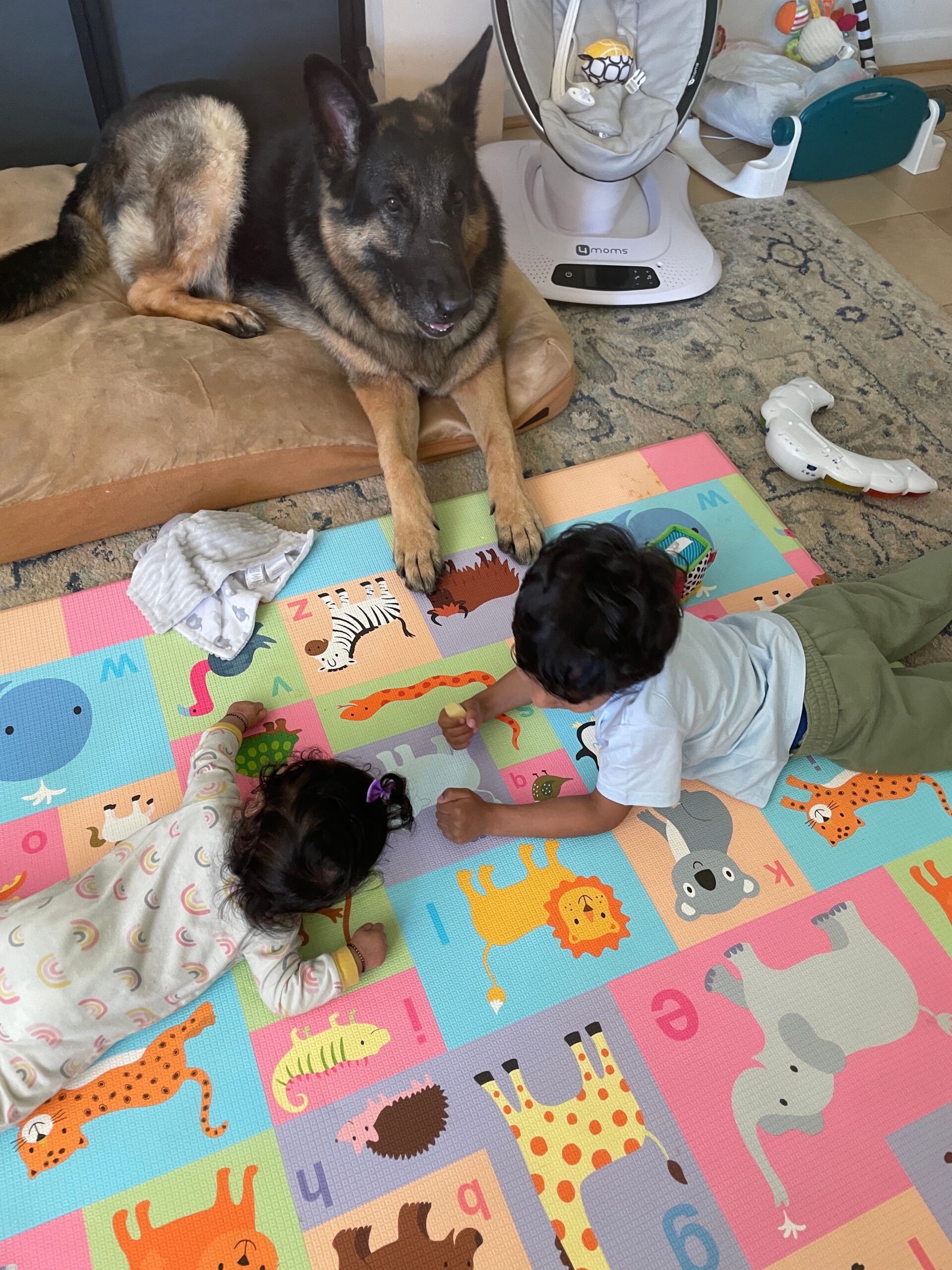 Dog Loss Grief_ A Love Letter to Our Furry Baby, Bagheera by Top US Mom Blogger Dreaming Loud