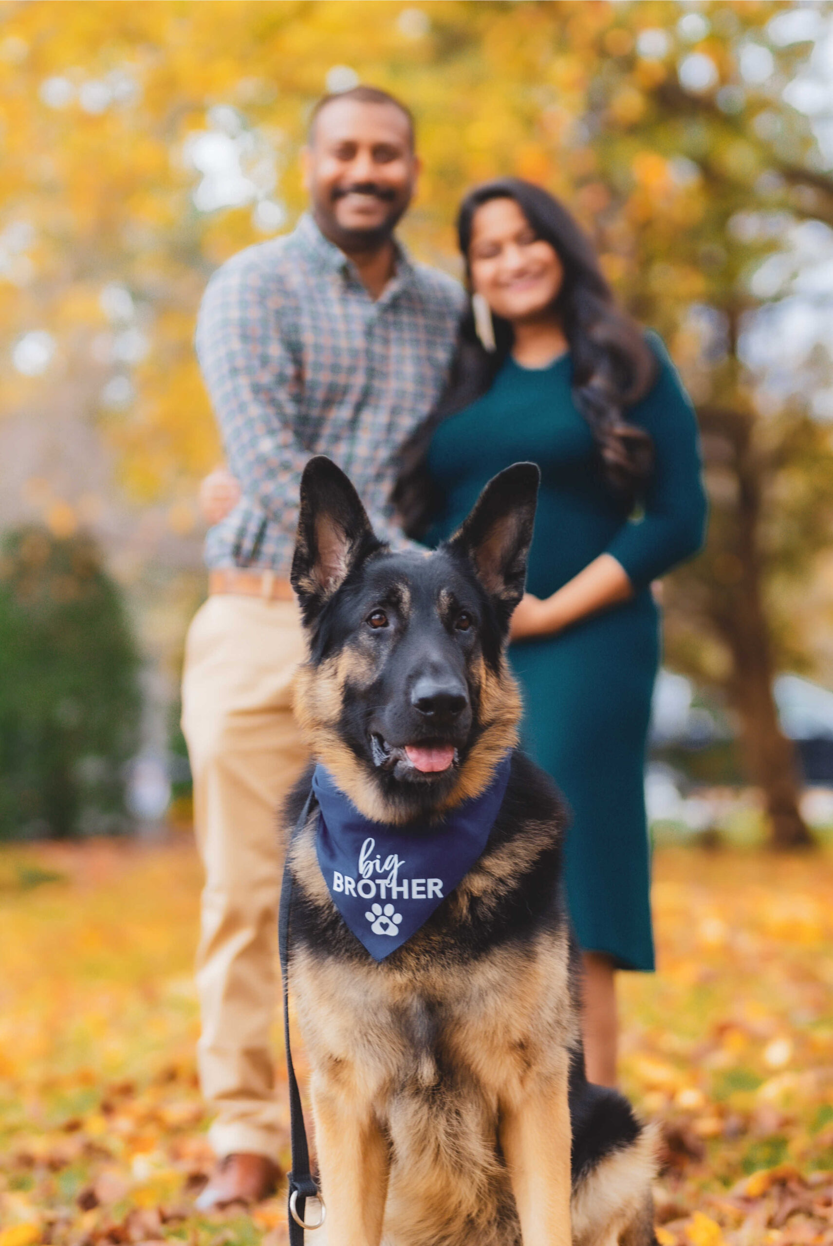 Dog Loss Grief_ A Love Letter to Our Furry Baby, Bagheera by Top US Mom Blogger Dreaming Loud