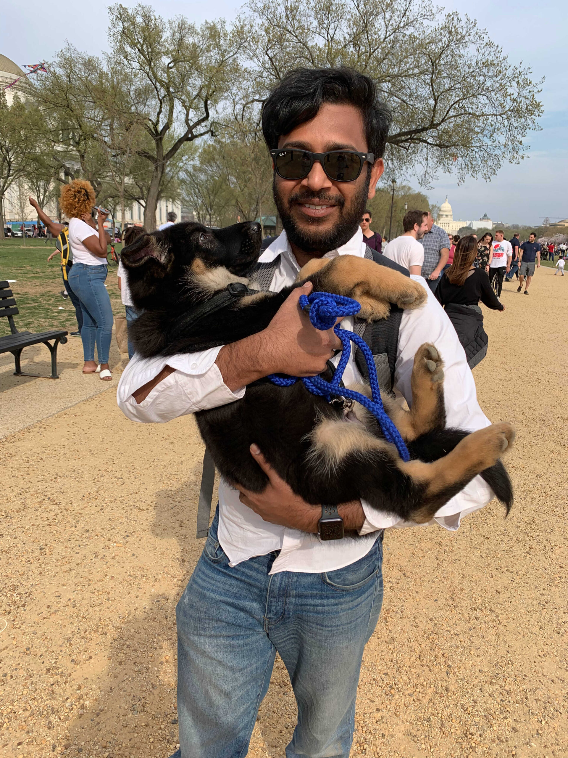 Dog Loss Grief_ A Love Letter to Our Furry Baby, Bagheera by Top US Mom Blogger Dreaming Loud