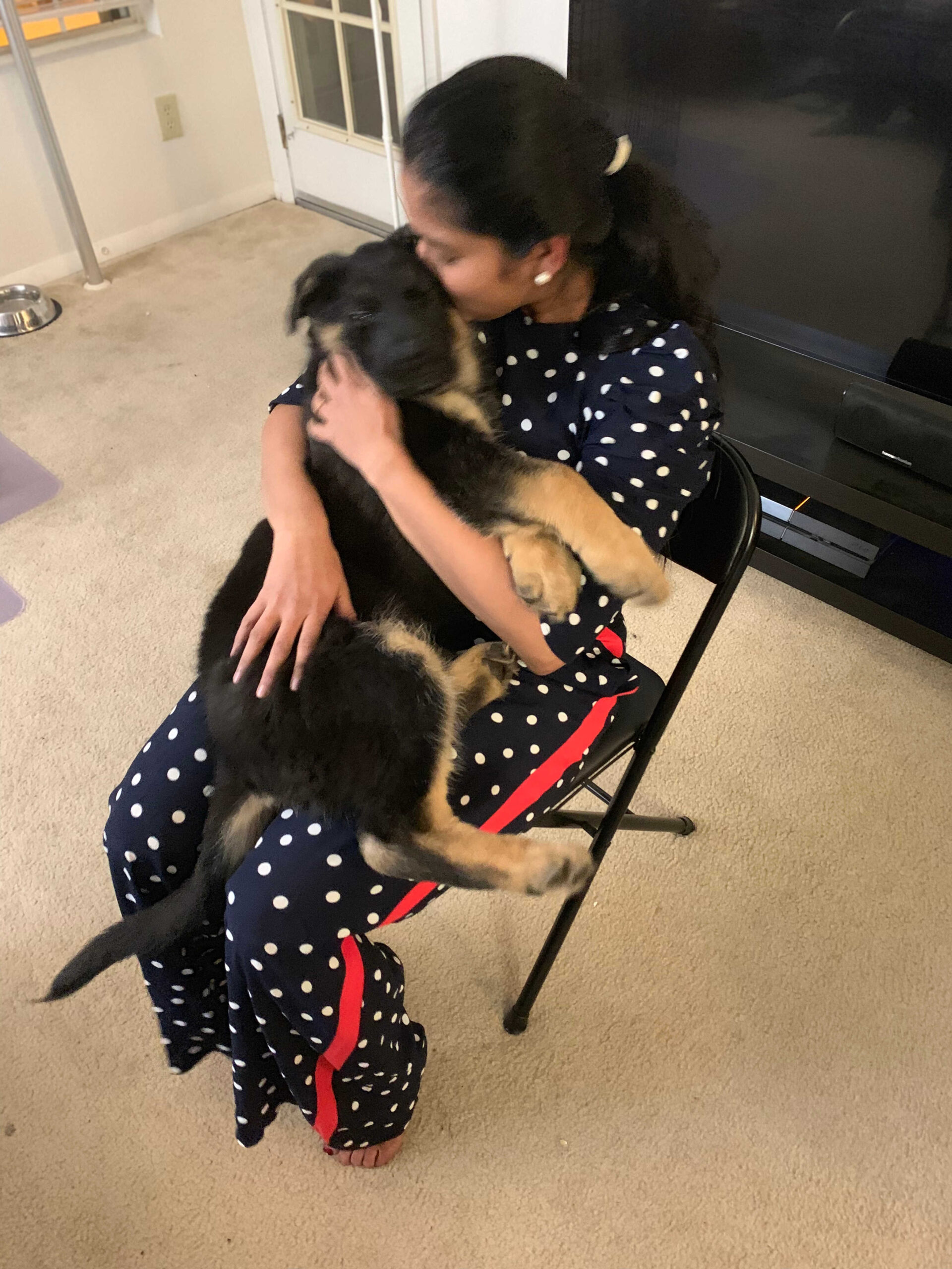 Dog Loss Grief_ A Love Letter to Our Furry Baby, Bagheera by Top US Mom Blogger Dreaming Loud