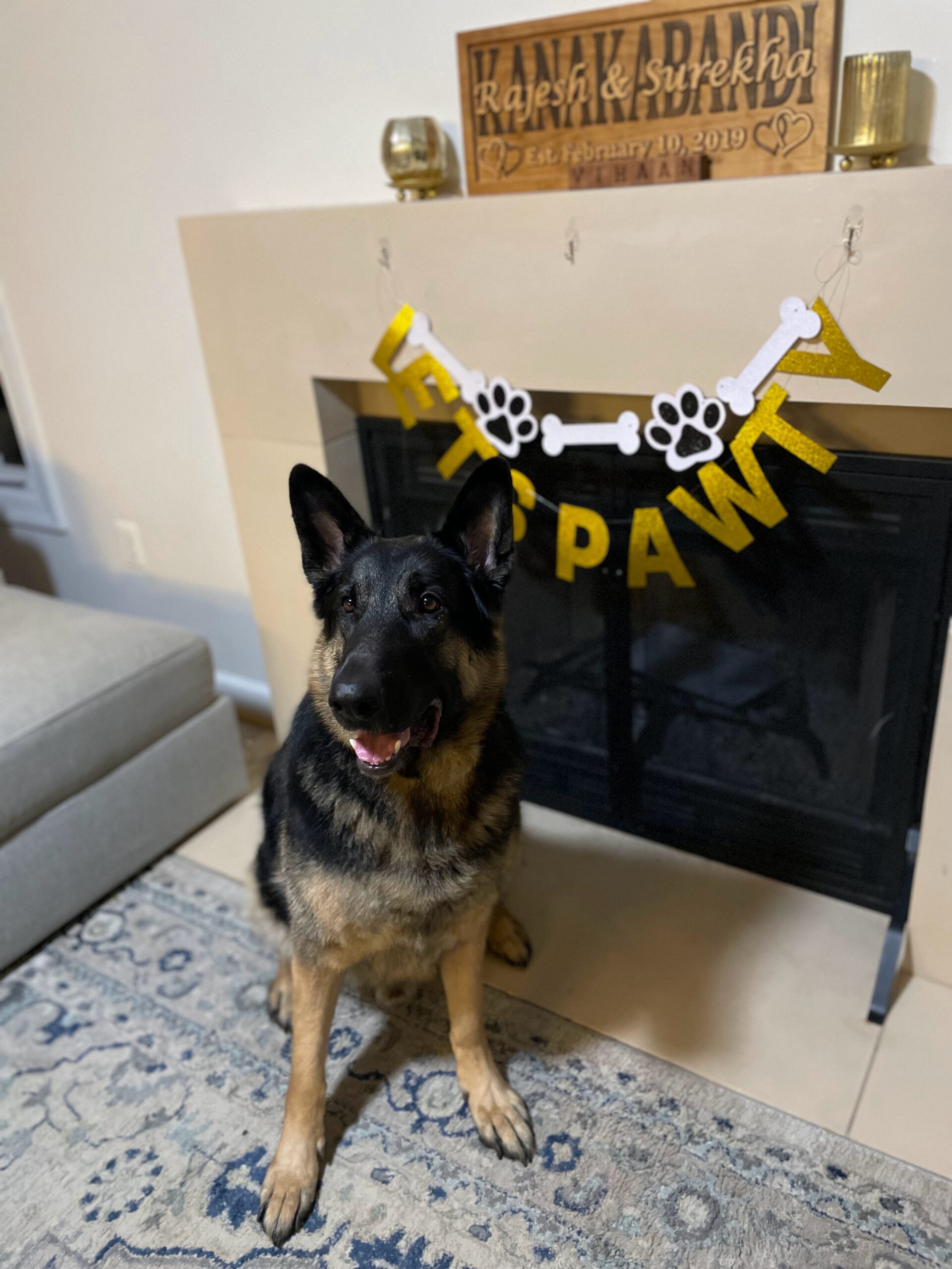 Dog Loss Grief_ A Love Letter to Our Furry Baby, Bagheera by Top US Mom Blogger Dreaming Loud