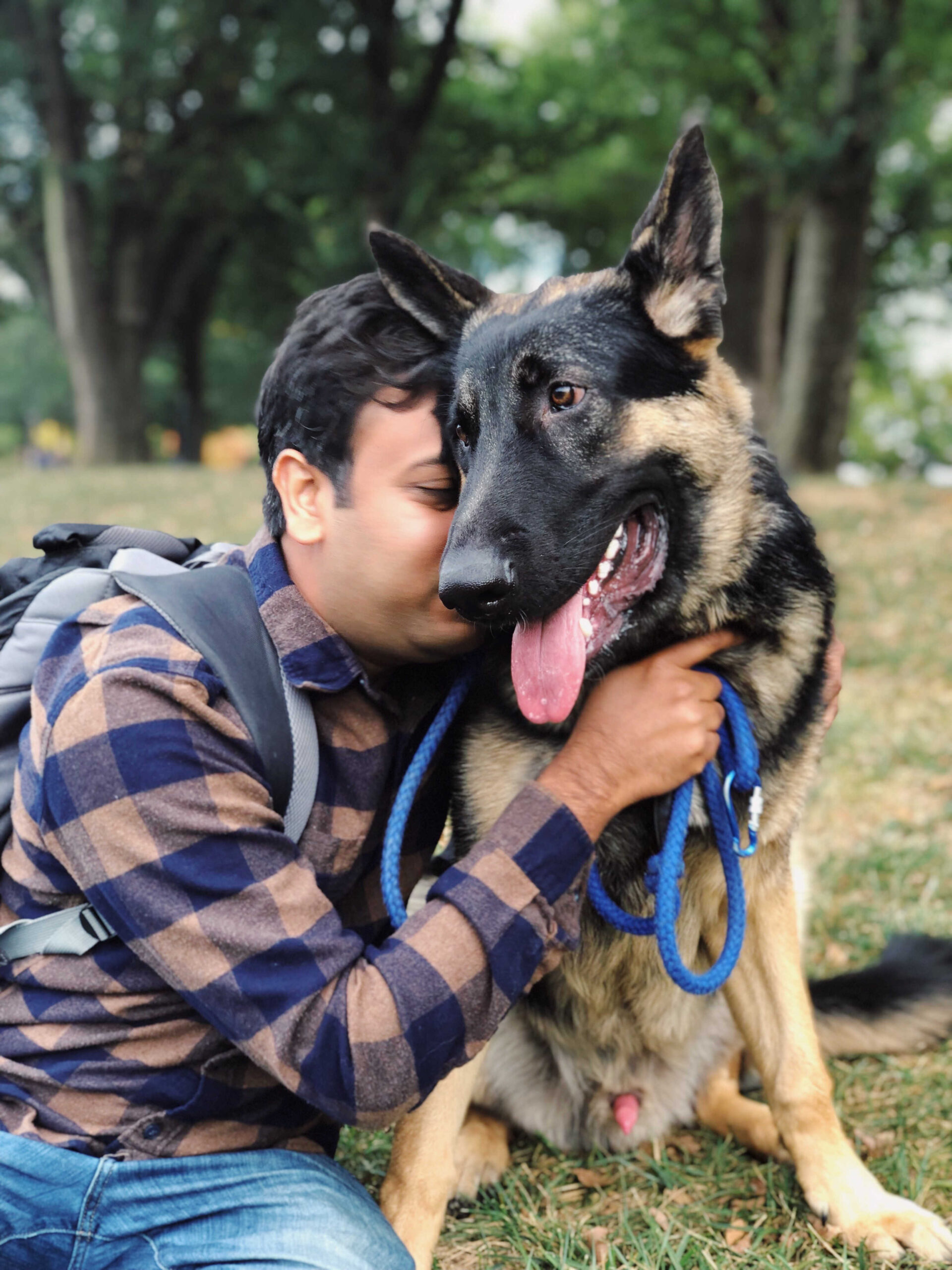 Dog Loss Grief_ A Love Letter to Our Furry Baby, Bagheera by Top US Mom Blogger Dreaming Loud