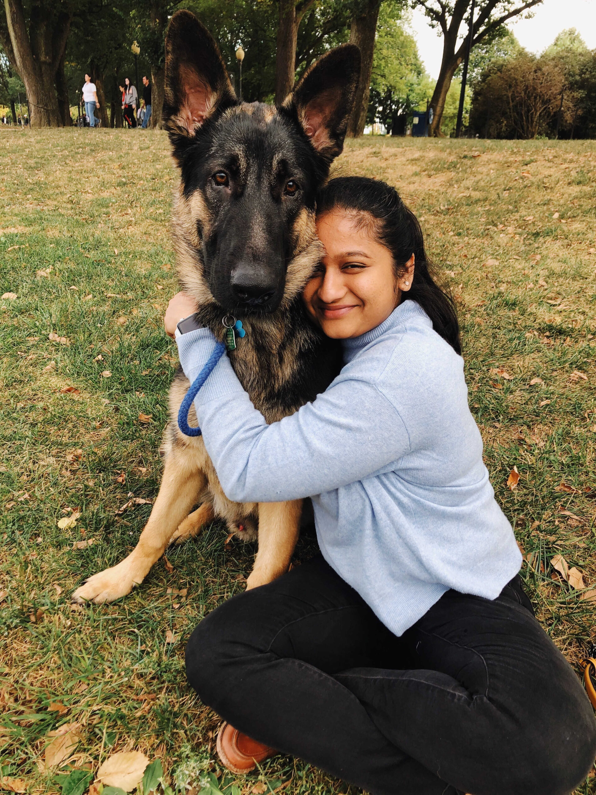 Dog Loss Grief_ A Love Letter to Our Furry Baby, Bagheera by Top US Mom Blogger Dreaming Loud