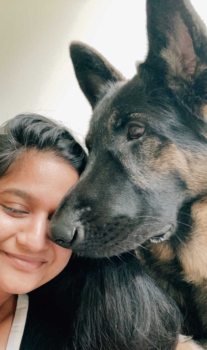 Dog Loss Grief_ A Love Letter to Our Furry Baby, Bagheera by Top US Mom Blogger Dreaming Loud