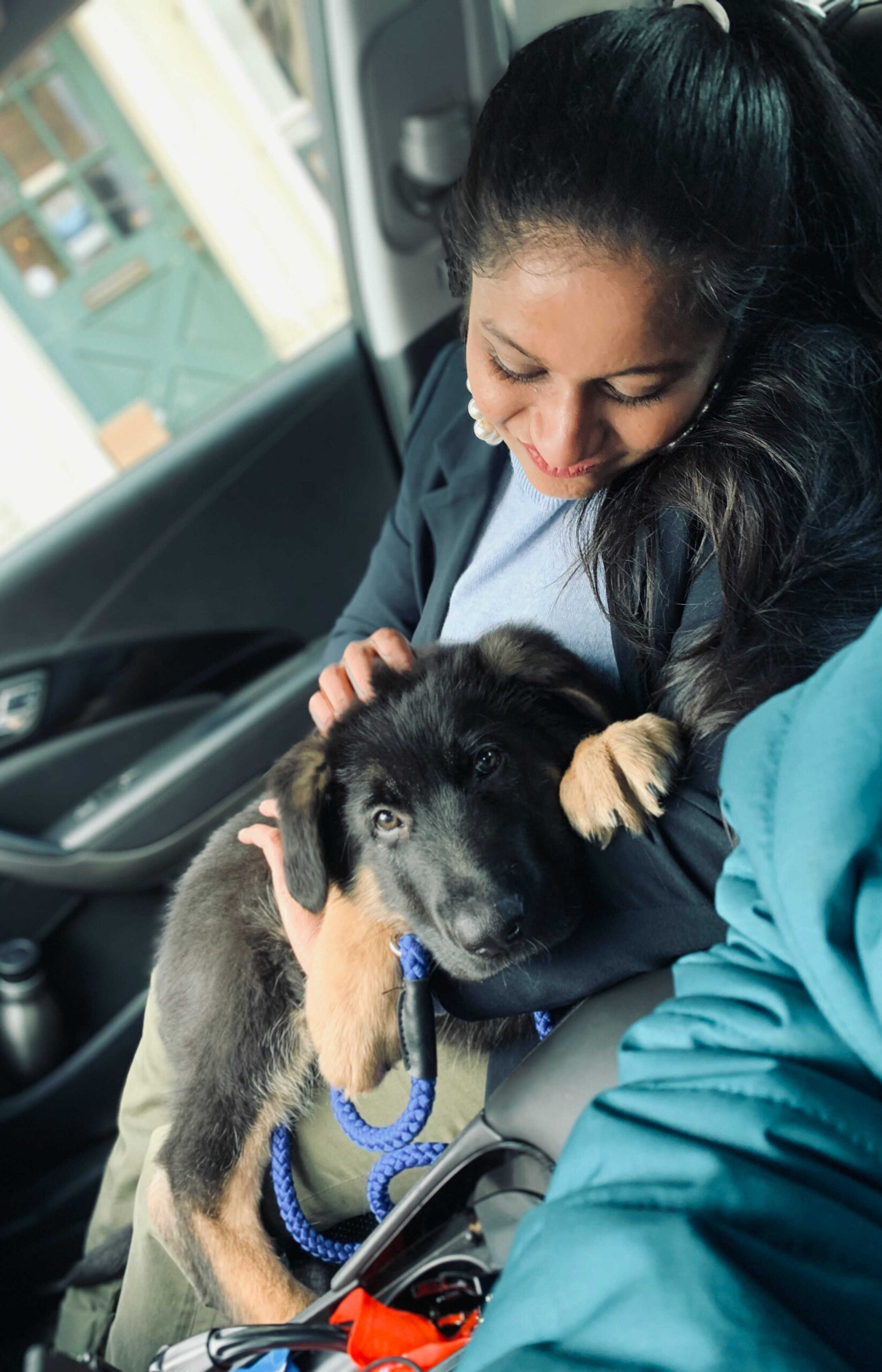 Dog Loss Grief_ A Love Letter to Our Furry Baby, Bagheera by Top US Mom Blogger Dreaming Loud