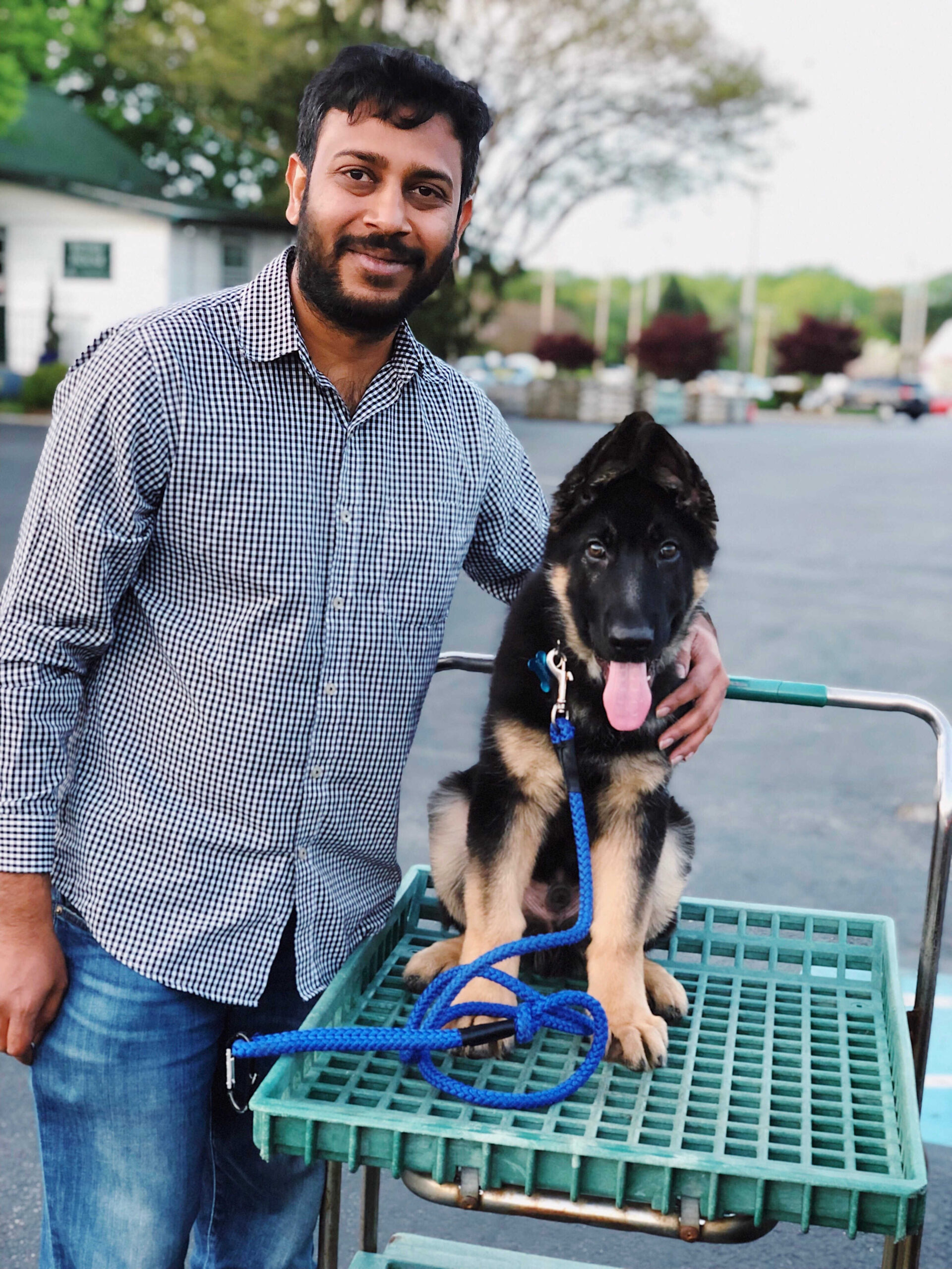 Dog Loss Grief_ A Love Letter to Our Furry Baby, Bagheera by Top US Mom Blogger Dreaming Loud