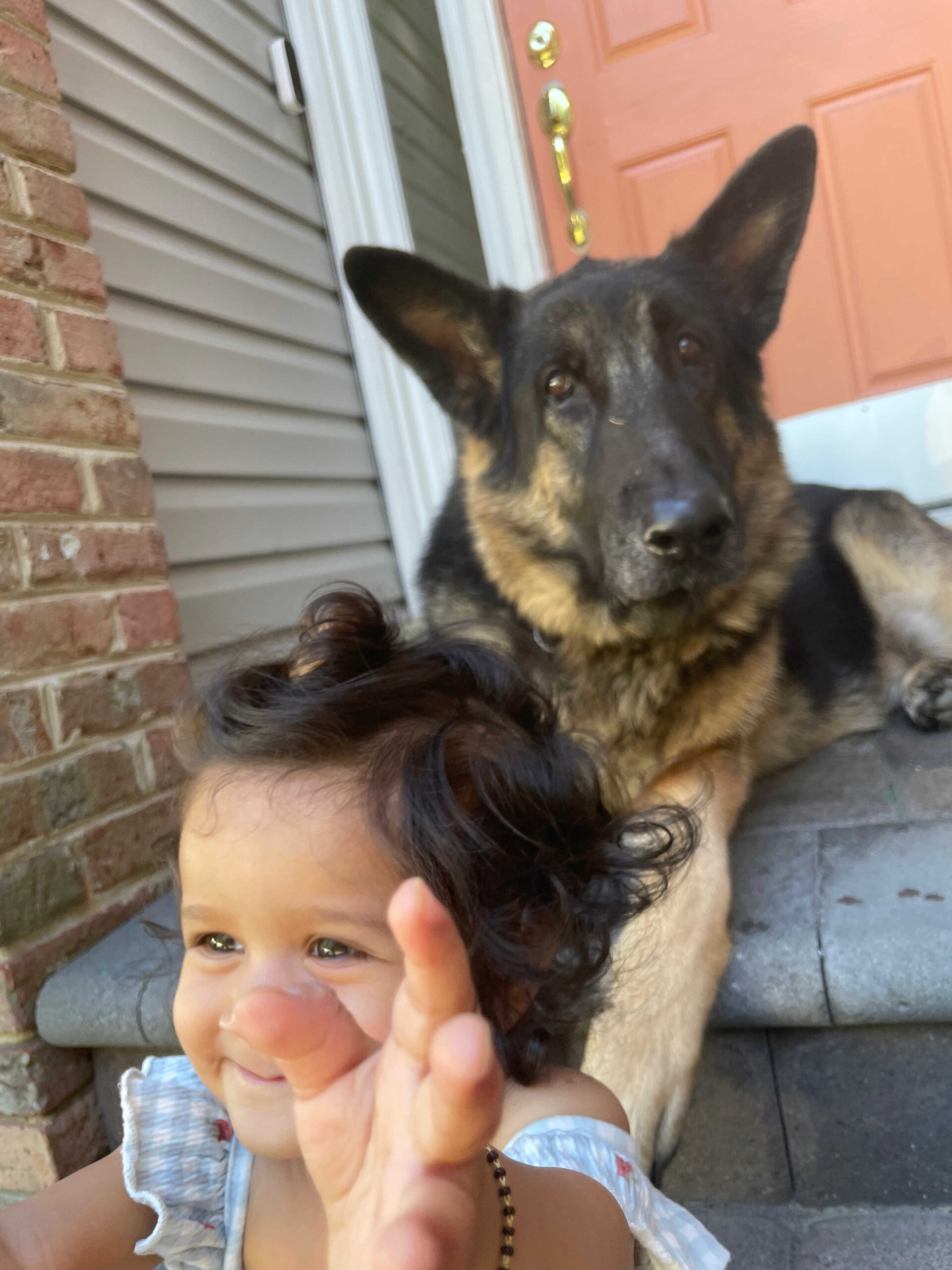 Dog Loss Grief_ A Love Letter to Our Furry Baby, Bagheera by Top US Mom Blogger Dreaming Loud