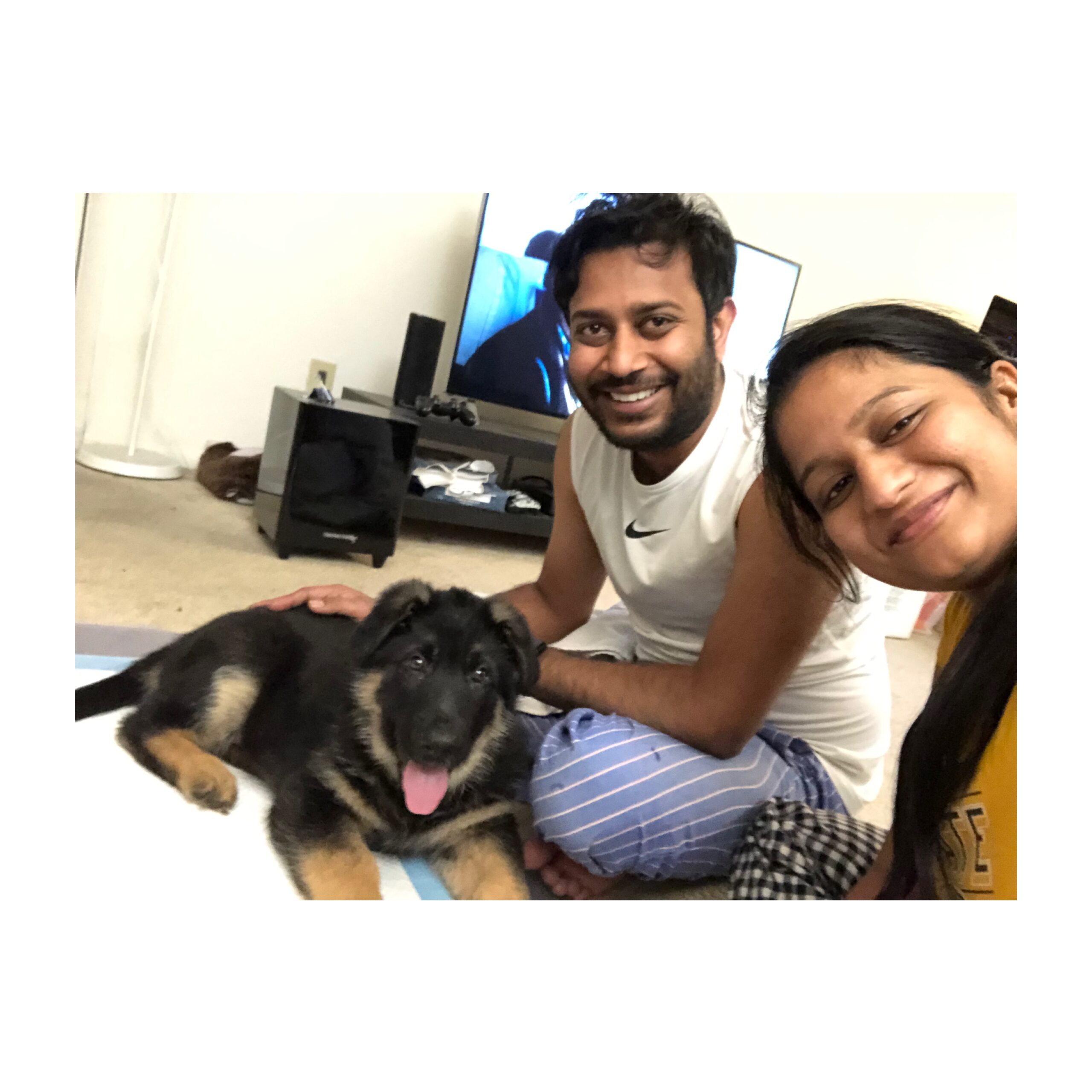 Dog Loss Grief_ A Love Letter to Our Furry Baby, Bagheera by Top US Mom Blogger Dreaming Loud