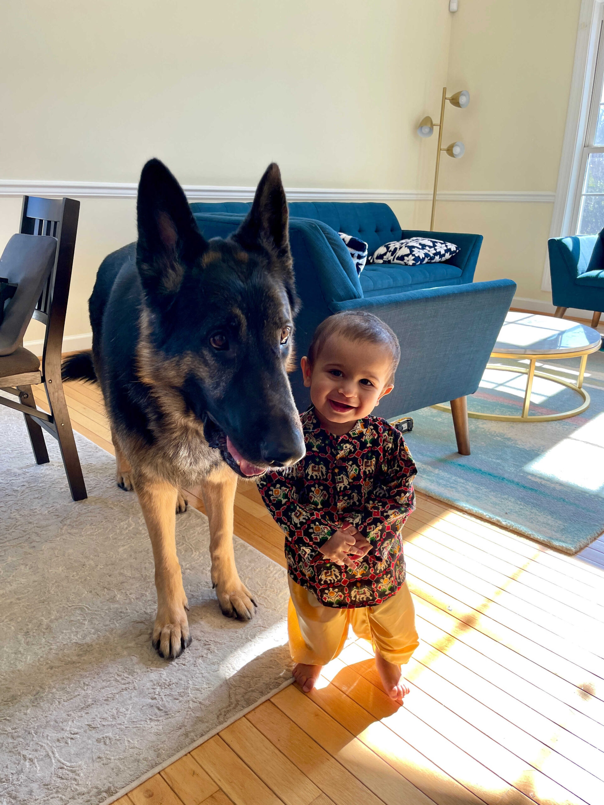 Dog Loss Grief_ A Love Letter to Our Furry Baby, Bagheera by Top US Mom Blogger Dreaming Loud