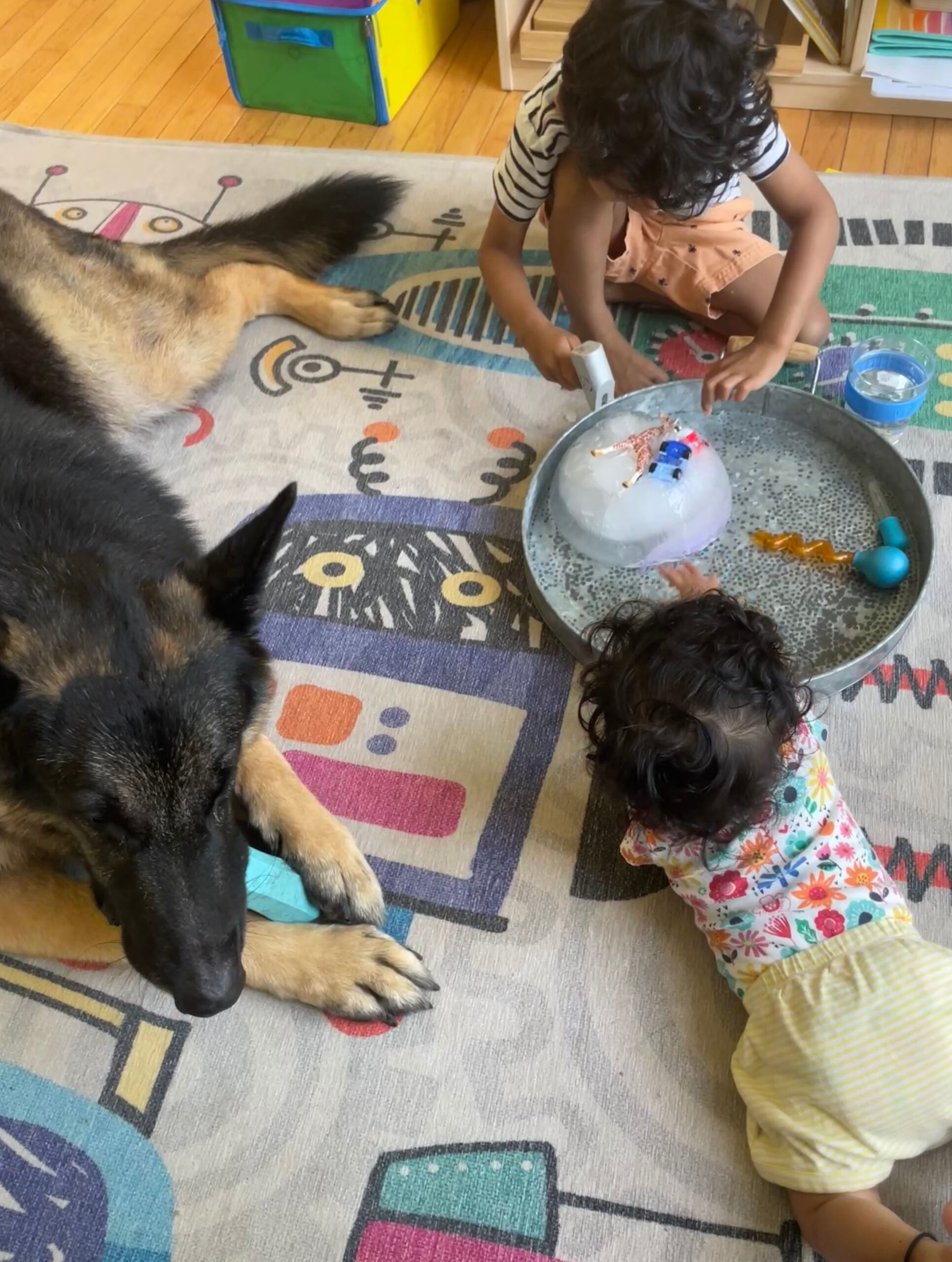 Dog Loss Grief_ A Love Letter to Our Furry Baby, Bagheera by Top US Mom Blogger Dreaming Loud