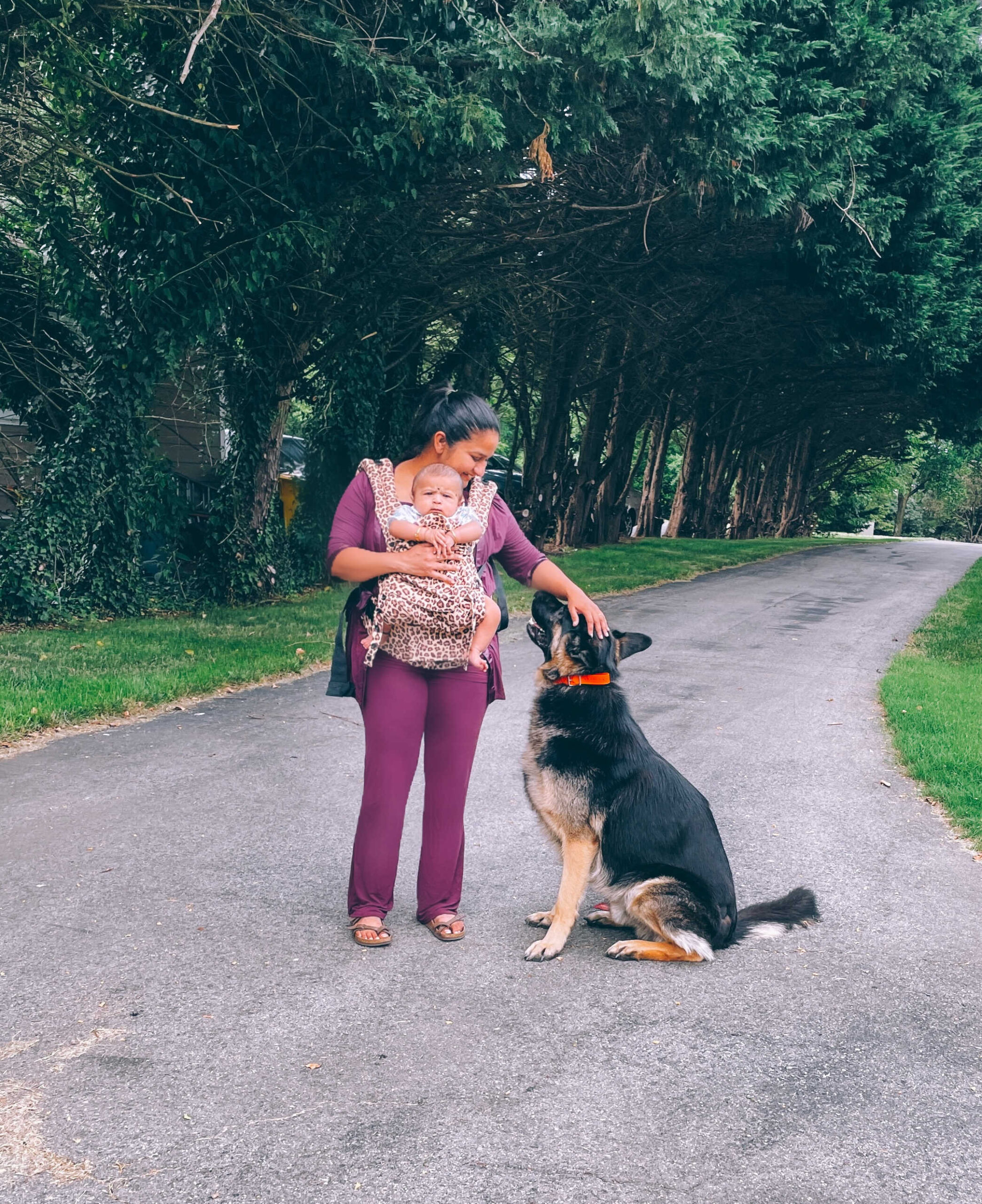 Dog Loss Grief_ A Love Letter to Our Furry Baby, Bagheera by Top US Mom Blogger Dreaming Loud