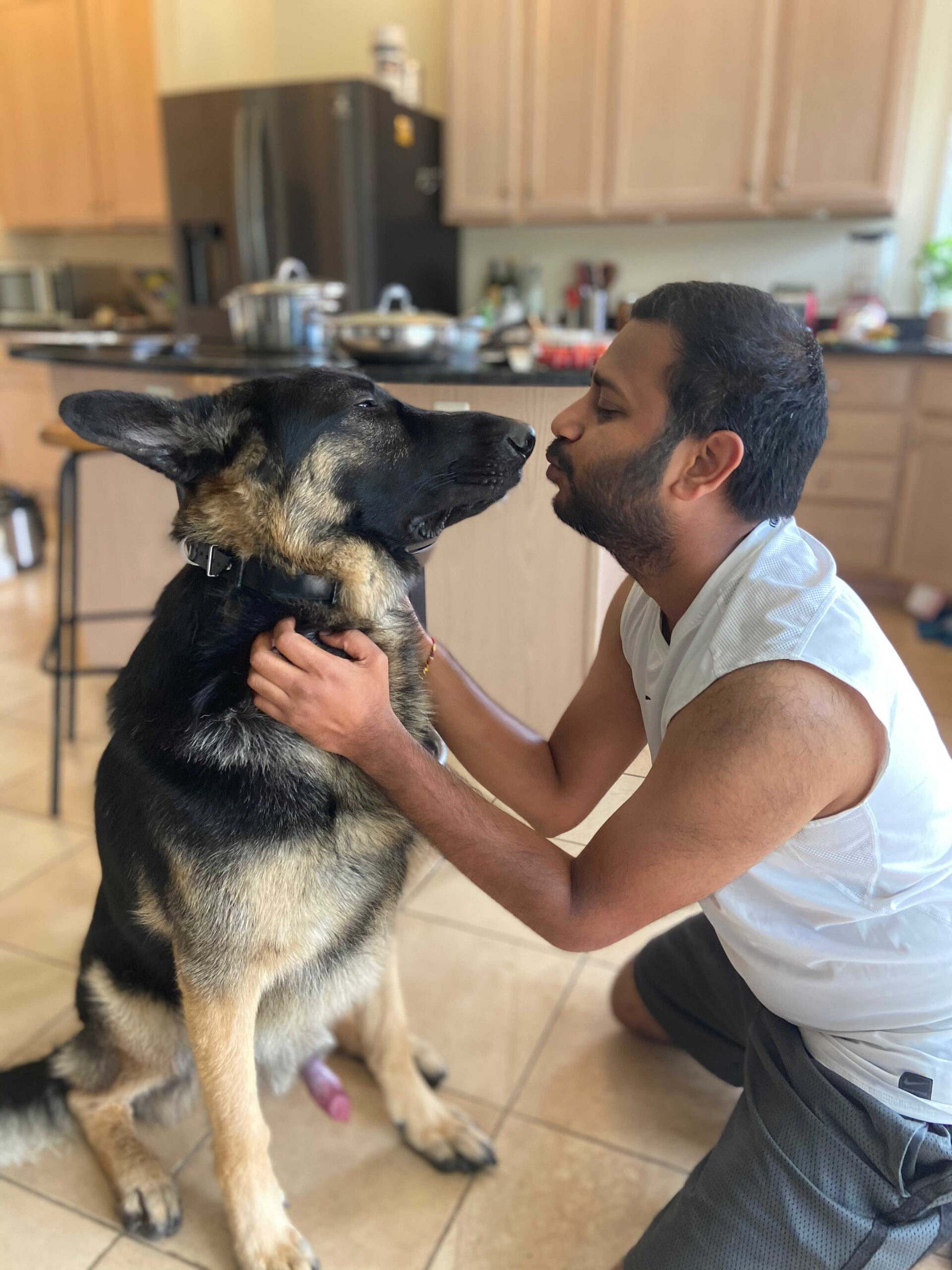 Dog Loss Grief_ A Love Letter to Our Furry Baby, Bagheera by Top US Mom Blogger Dreaming Loud