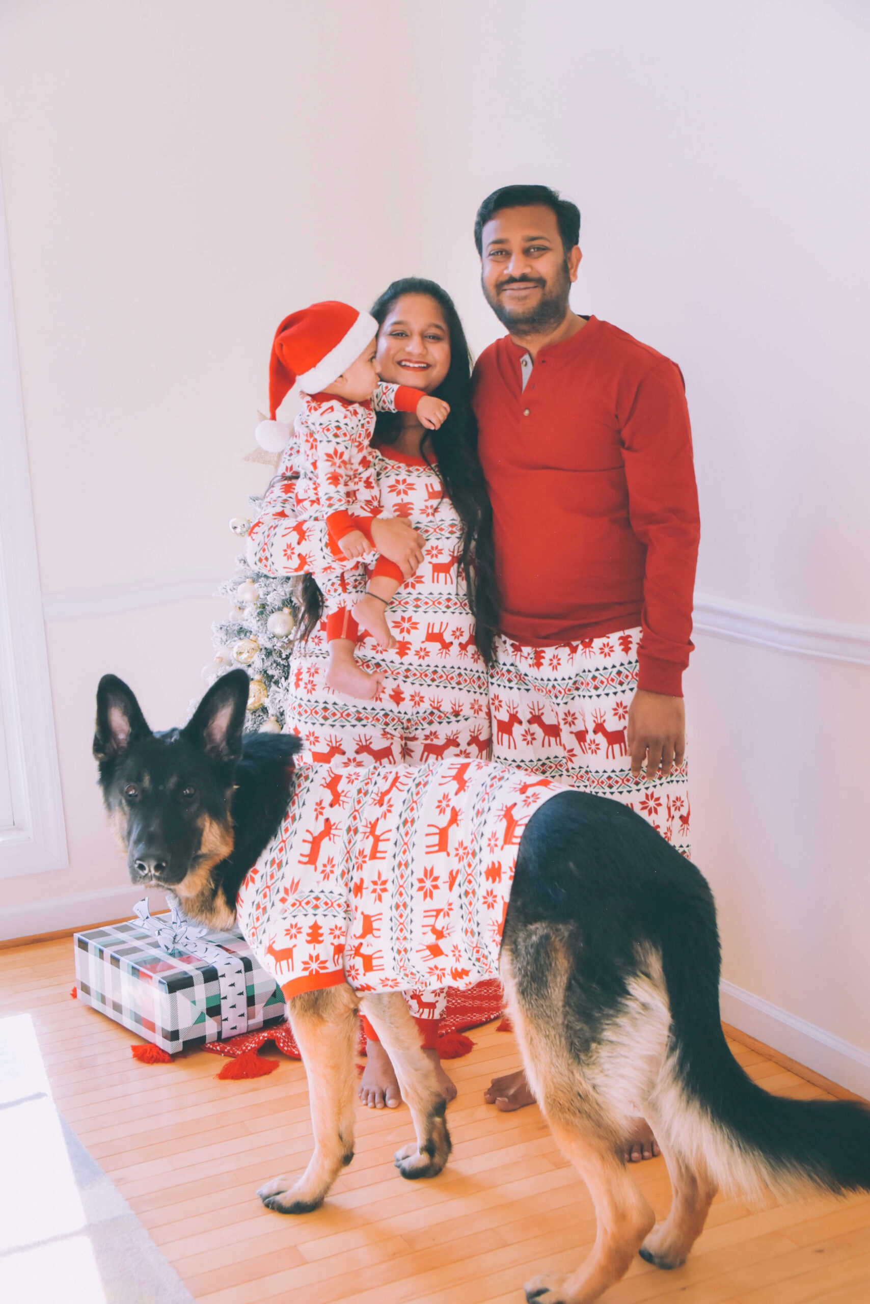 Dog Loss Grief_ A Love Letter to Our Furry Baby, Bagheera by Top US Mom Blogger Dreaming Loud