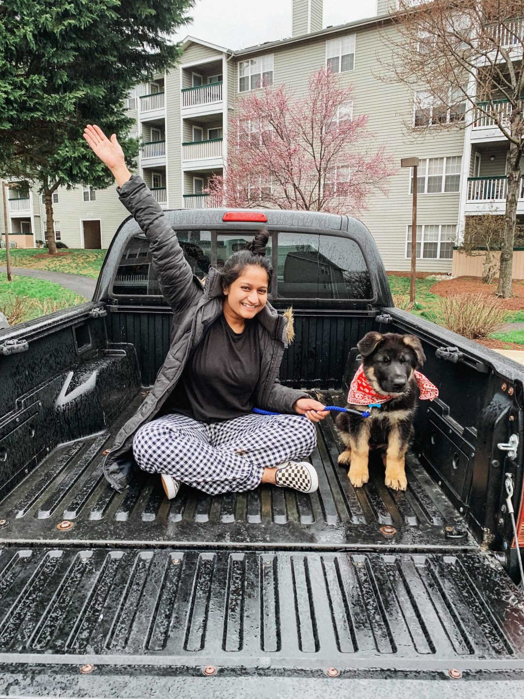 Dog Loss Grief_ A Love Letter to Our Furry Baby, Bagheera by Top US Mom Blogger Dreaming Loud