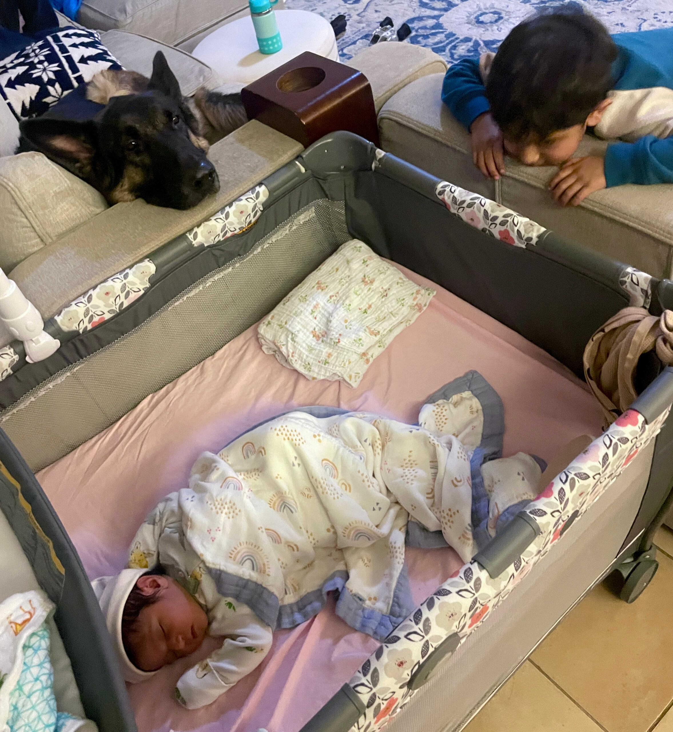 Dog Loss Grief_ A Love Letter to Our Furry Baby, Bagheera by Top US Mom Blogger Dreaming Loud