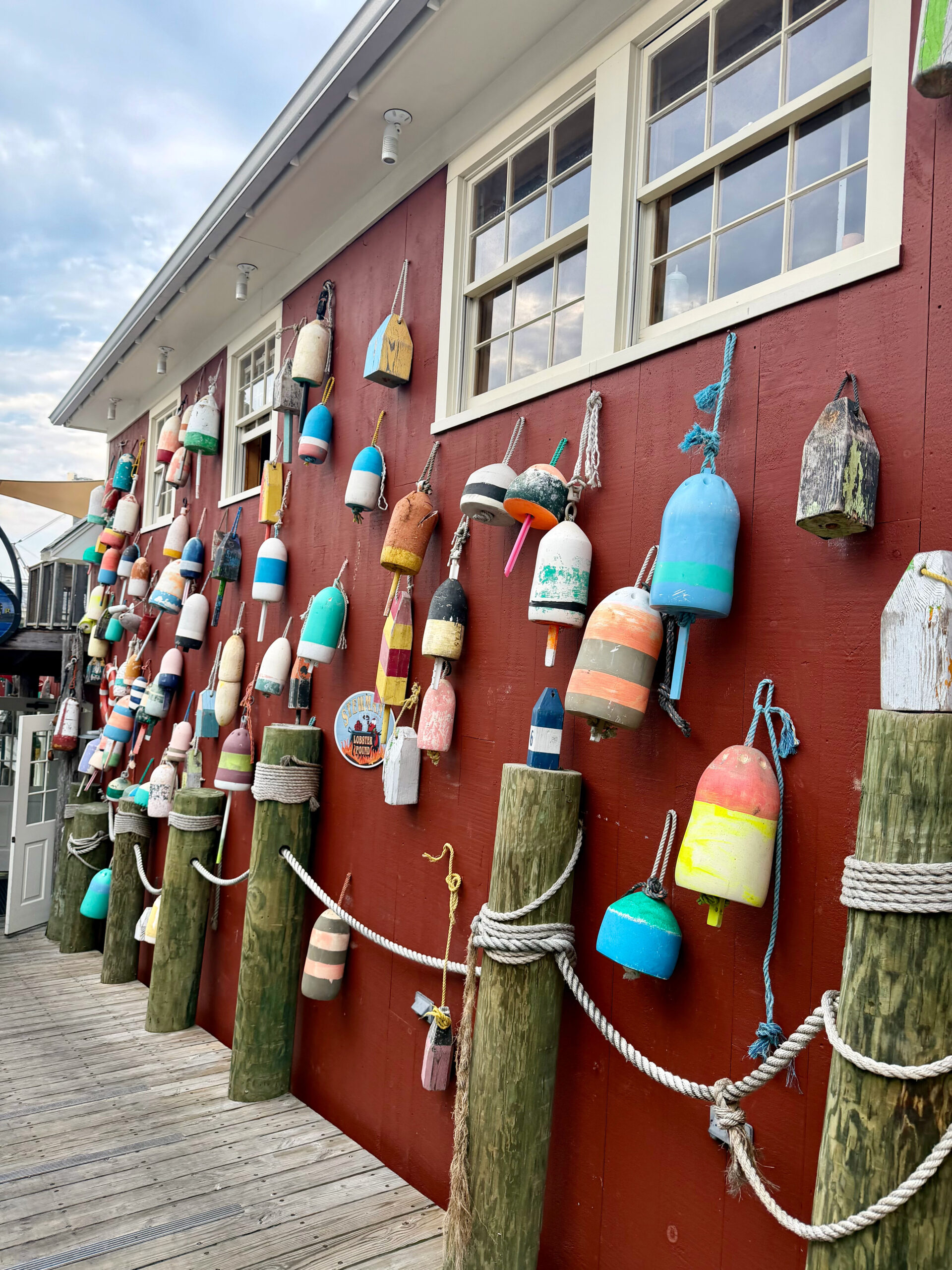 Acada National Park Whale Watch with Kids -Bar Harbour by Top US Mom Blogger Dreaming Loud