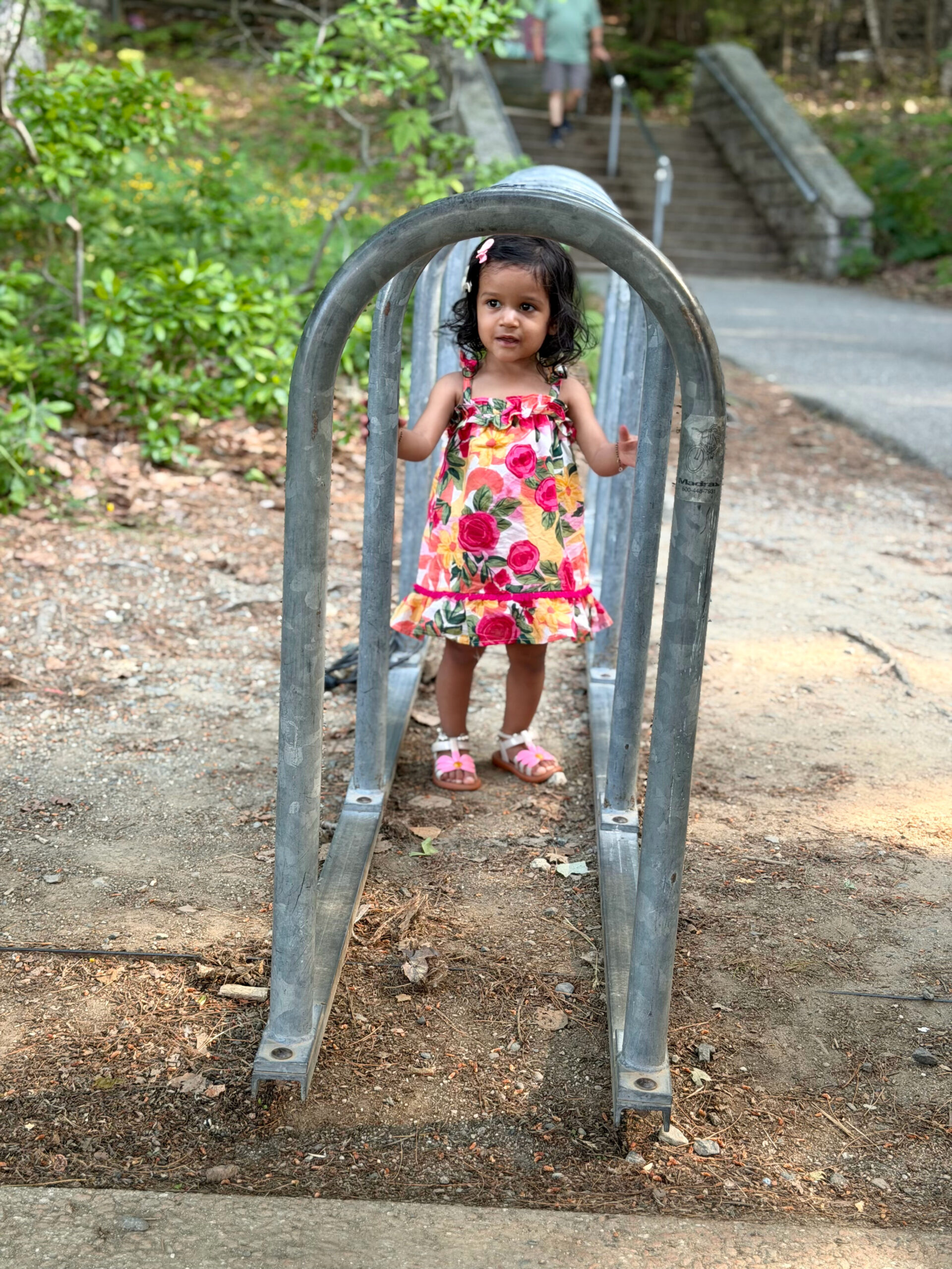 Acadia National Park with a Toddler & a 5- Day 4 by Top US Mom Blogger Dreaming Loud