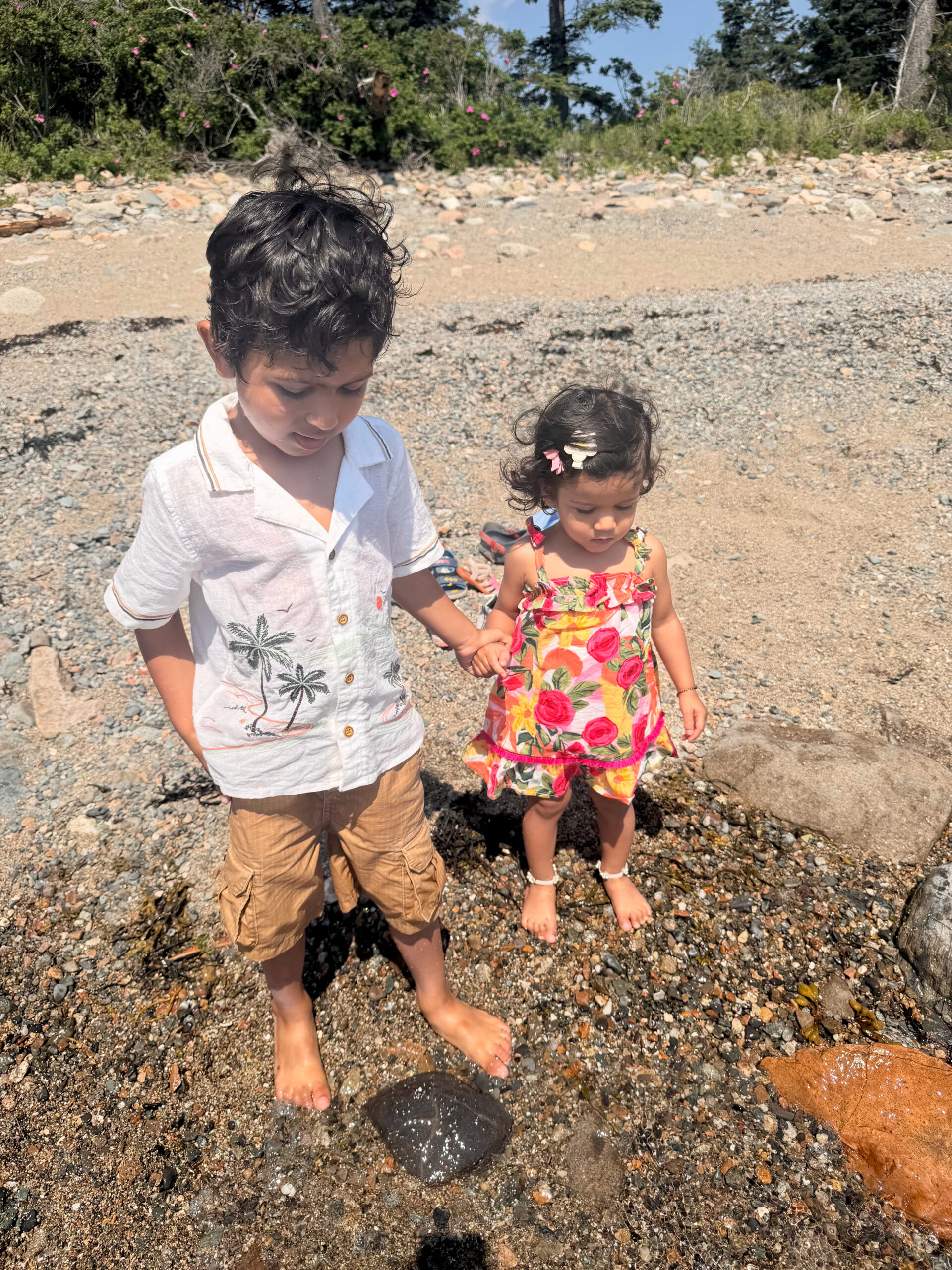 Acadia National Park with a Toddler & a 5- Day 4 Wonderland Trail 1