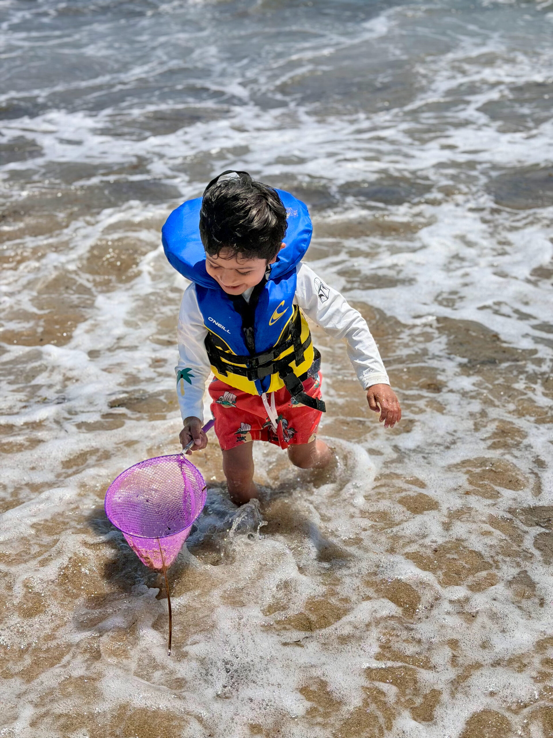 Acadia National Park with a Toddler & a 5-Year-Old- Sand Beach by Top US Mom Blogger Dreaming Loud
