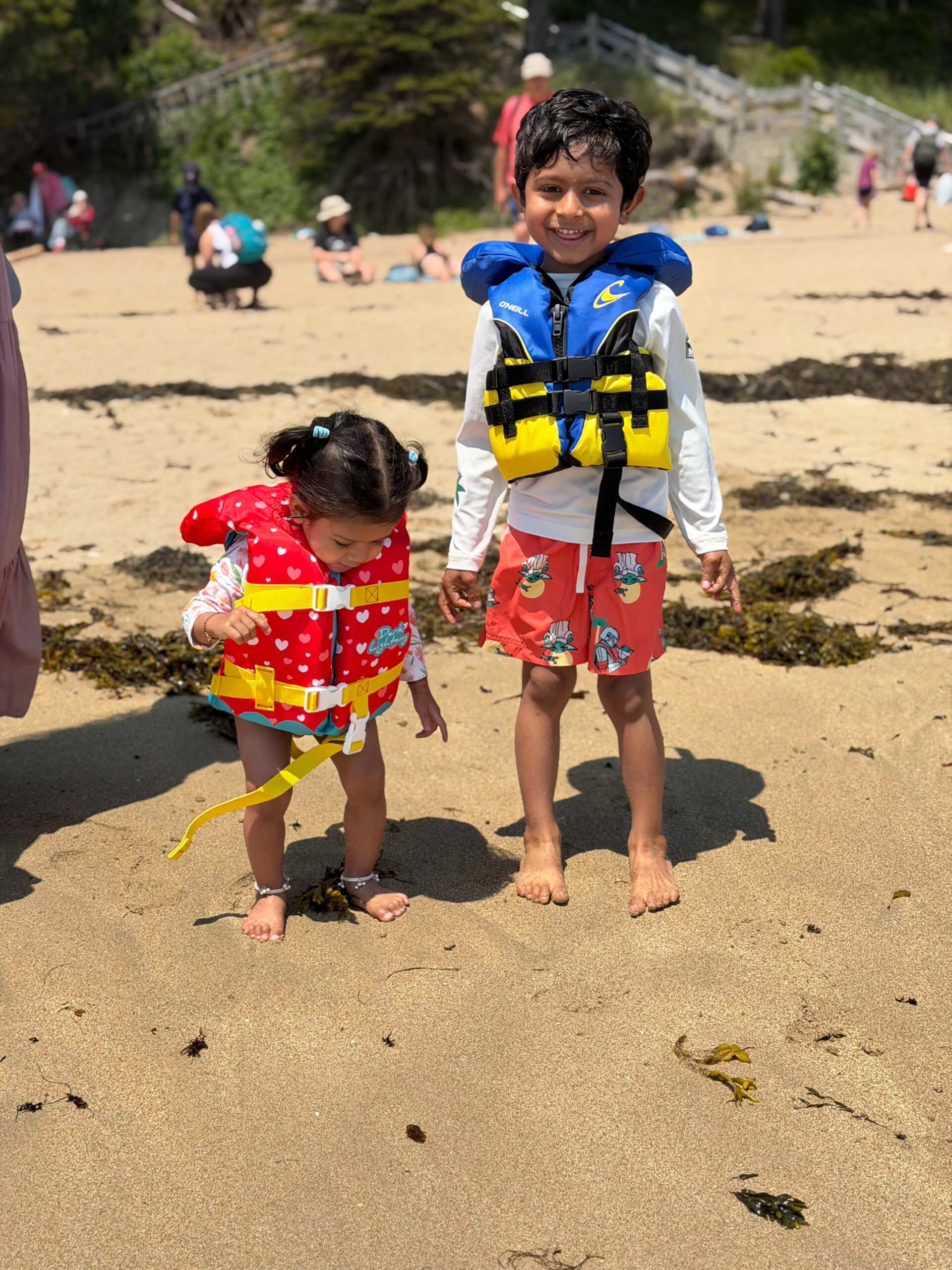Is Acadia National Park doable with a toddler? Yes! Here's our real itinerary, best easy trails, and tips for a fun, low-stress family trip