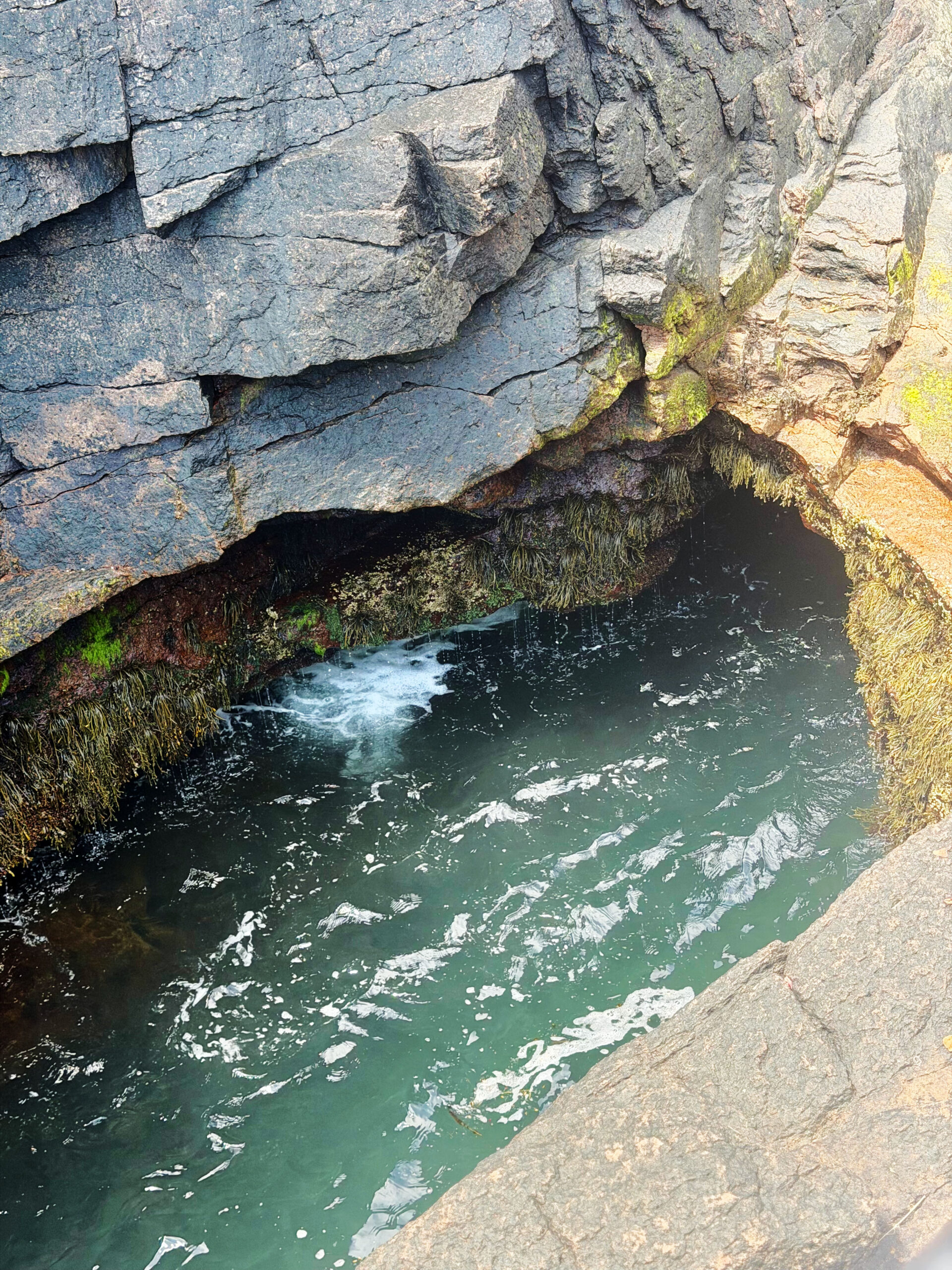 Acadia National Park with a Toddler & a 5-Year-Thunder Hole by Top US Mom Blogger Dreaming Loud